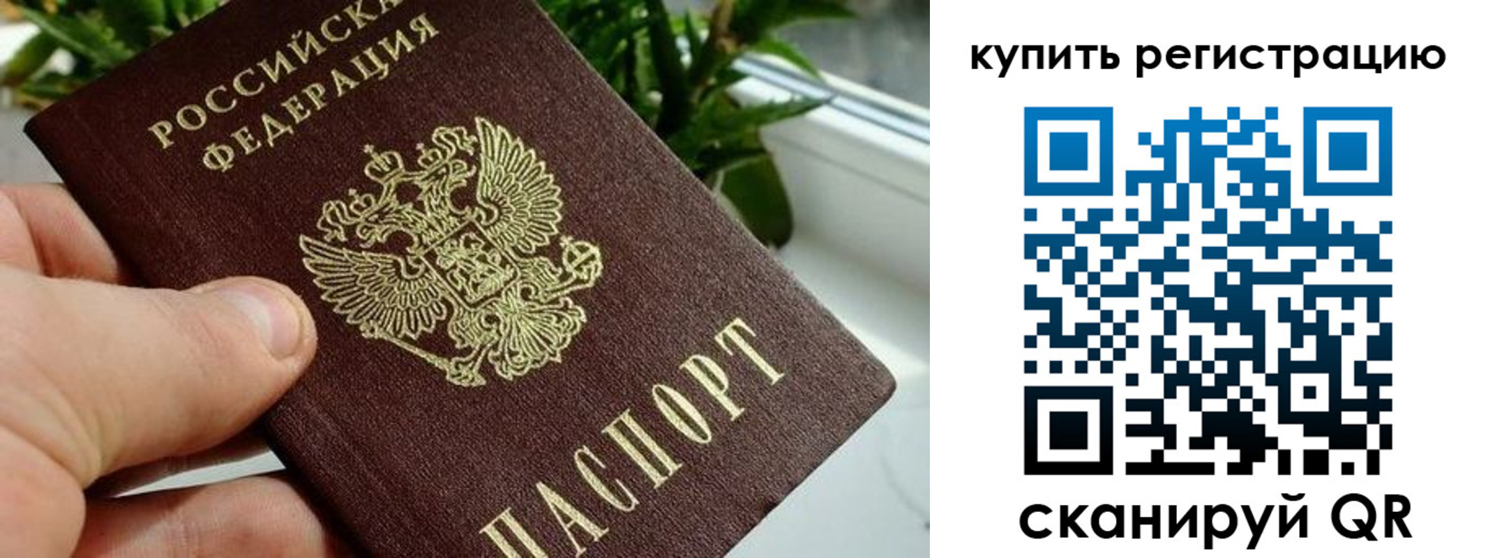 прописка гарантия в Белёве